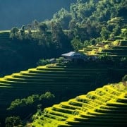 A.CRE 101 Ensamblaje y Adquisición de Terrenos Claves para el Desarrollo Estratégico 1