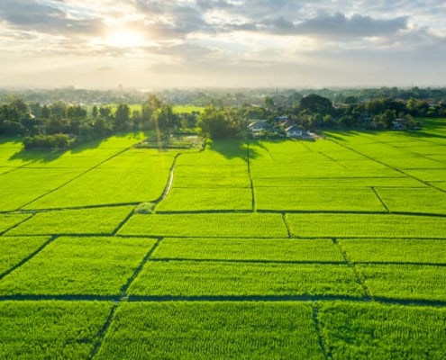 land aggregation fund for development